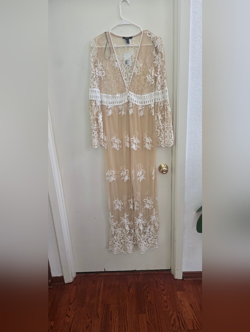 Forever 21 Nude/Cream Sheer Lace Maxi Dress